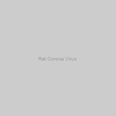 Image of Rat Corona Virus & Sialoda Cryoadenitis Virus One-Step PCR kit
